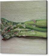 Asparagus Canvas Print