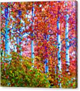 Aspen Grove In Summer Canvas Print