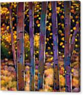 Aspen Stand Canvas Print