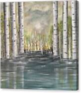 Aspen Trees Canvas Print