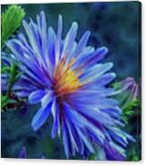 Aster Blue Painterly #h1 Canvas Print