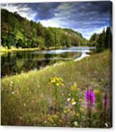 August Flowers On The Pond Canvas Print