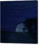 Australian Blue Moon Canvas Print