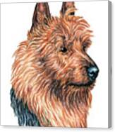 Australian Terrier Canvas Print