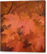 Autumn 2 Canvas Print