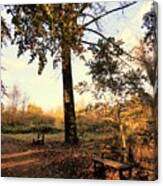 Autumn Bench Wood Canvas Print