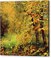 Autumn Bliss Of Color Canvas Print