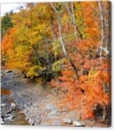Autumn Creek 2 Canvas Print