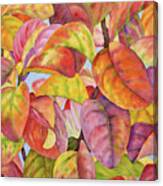 Autumn Crepe Myrtle Canvas Print
