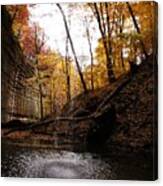 Autumn Falls Iii Canvas Print