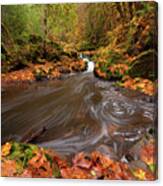 Autumn Flow Canvas Print