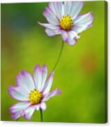 Autumn Flowers Canvas Print