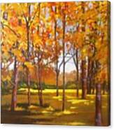 Autumn Gold Canvas Print
