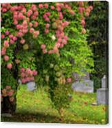 Autumn Hydrangeas Canvas Print