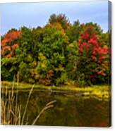 Autumn In Mabou Canvas Print