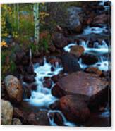Autumn In The Arapaho National Forest Canvas Print