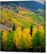 Autumn In The Rockies Canvas Print