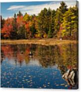 Autumn Lake Reflections Canvas Print