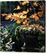 Autumn Maple And Succulents Canvas Print