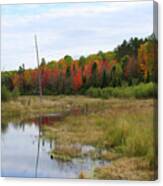 Autumn Marsh View Canvas Print