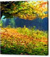Autumn Mist Canvas Print