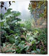 Autumn Mist, Great Dixter Garden Canvas Print