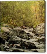 Autumn Morning Creekside Canvas Print