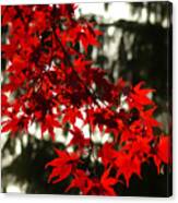 Autumn Red Canvas Print