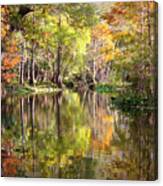 Autumn Reflection On Florida River Canvas Print