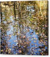 Autumn Reflections Canvas Print