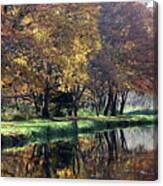 Autumn Reflections Wey Canal Surrey Uk Canvas Print