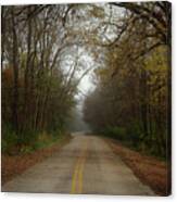 Autumn Road Canvas Print