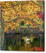Autumn Serenity Canvas Print