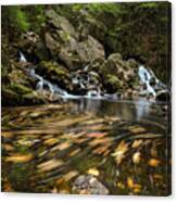 Autumn Swirl Canvas Print