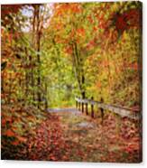 Autumn Trail At Full Color Canvas Print