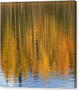 Autumn Tree Reflections Canvas Print