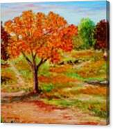 Autumn Trees Canvas Print