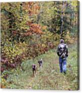 Autumn Woods Walk 3 Canvas Print