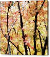 Autumnal Impressions Canvas Print