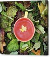 #autumn#photo #tea#teatime #october Canvas Print