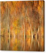 Autumns Final Palette Canvas Print