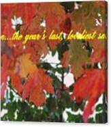 Autumn's Last Smile Photo Canvas Print