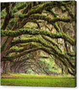 Avenue Of Oaks - Charleston Sc Plantation Live Oak Trees Forest Landscape Canvas Print