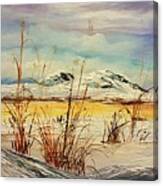 Awinter Walk In Montana Canvas Print