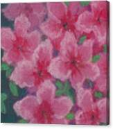 Azaleas In Pink Canvas Print