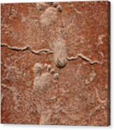 Baby Footsteps Etched In Stone Canvas Print