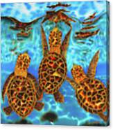 Baby Sea Turtles Canvas Print
