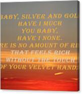 Baby Silver And Gold Have I Canvas Print