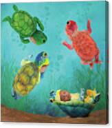 Baby Turtles Canvas Print