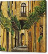 Back Street In Italy Canvas Print